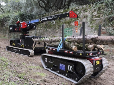 Almac en forestal