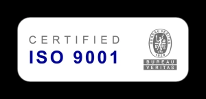 ISO-Quality Logo