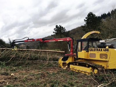 Grúa forestal para tractor L80T