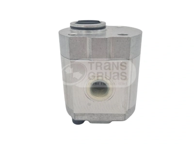 R0011 387180 BOMBA HIDRÁULICA (2).webp